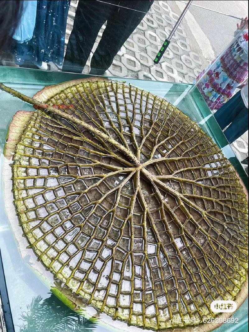 -对情侣在家开网店卖热…#情报-搞钱情报论坛-网创交流-优选副业网